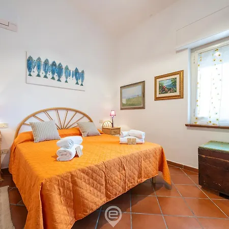 Bluebell * Fort Köyü